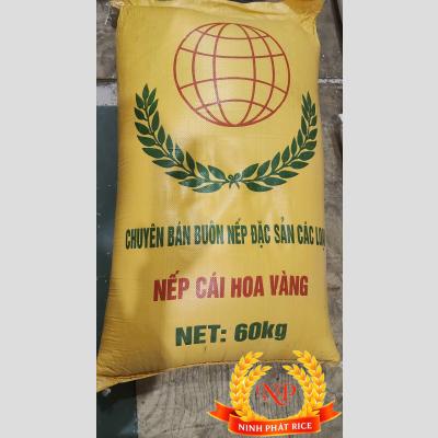 Nếp cái hoa vàng